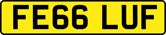 FE66LUF
