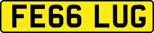 FE66LUG