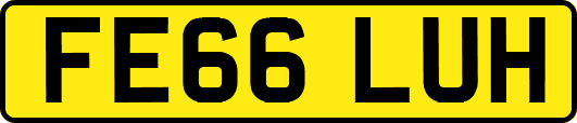 FE66LUH