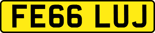 FE66LUJ