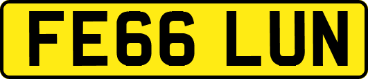 FE66LUN