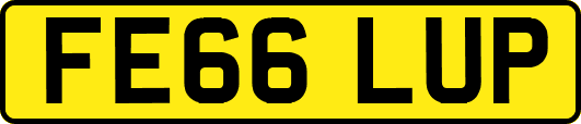 FE66LUP