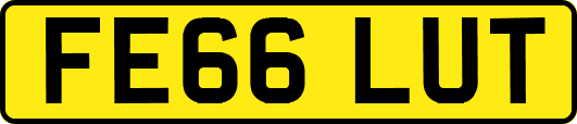FE66LUT