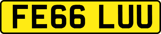 FE66LUU