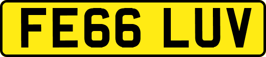 FE66LUV