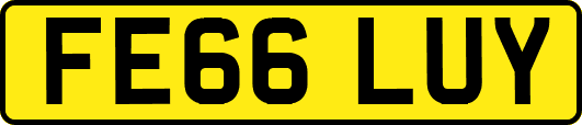 FE66LUY
