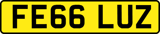 FE66LUZ