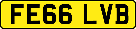 FE66LVB