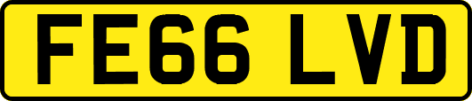 FE66LVD