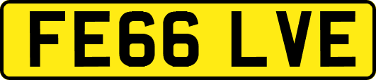 FE66LVE