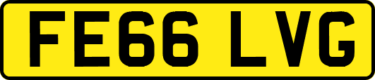 FE66LVG