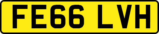 FE66LVH