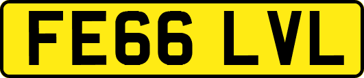 FE66LVL