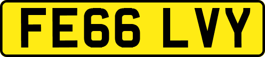 FE66LVY