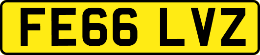 FE66LVZ