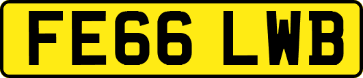 FE66LWB