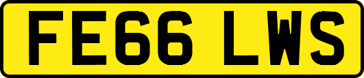 FE66LWS