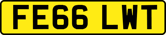 FE66LWT