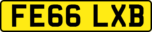 FE66LXB