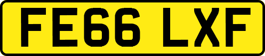 FE66LXF