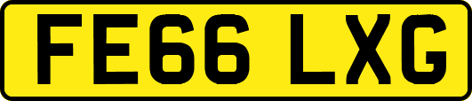 FE66LXG
