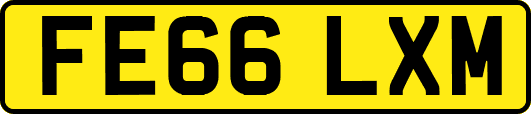 FE66LXM
