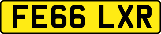 FE66LXR