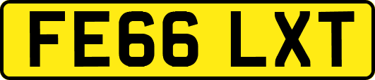 FE66LXT