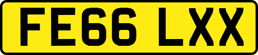FE66LXX