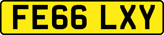 FE66LXY