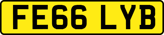 FE66LYB
