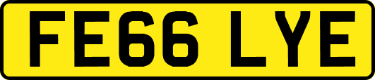 FE66LYE