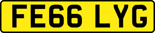 FE66LYG