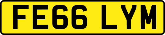 FE66LYM