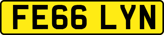 FE66LYN