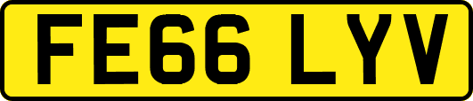 FE66LYV