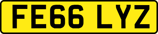 FE66LYZ