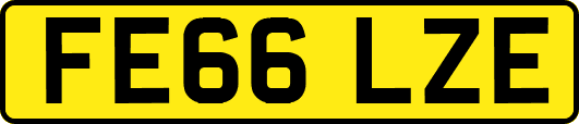 FE66LZE