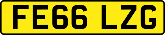FE66LZG