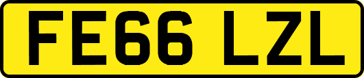 FE66LZL