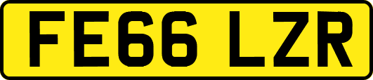 FE66LZR