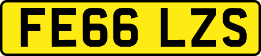FE66LZS