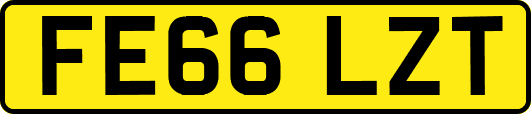 FE66LZT