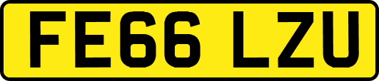 FE66LZU