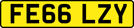 FE66LZY