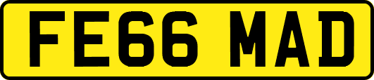 FE66MAD