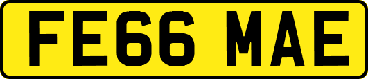 FE66MAE