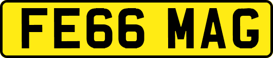 FE66MAG