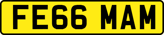FE66MAM