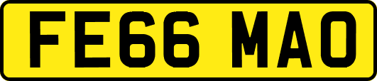 FE66MAO